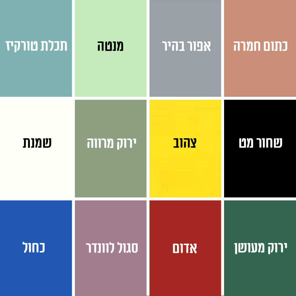זוג מתלים לקיר מעוצבים בלרינות | בתוספת שם | Eina